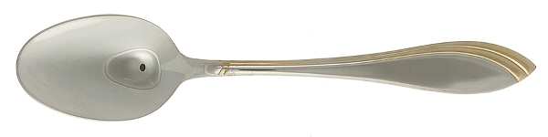 Spl24 (Stainless, Gold Accent) Place/Oval Soup Spoon