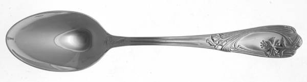 Porto (Stainless) Teaspoon