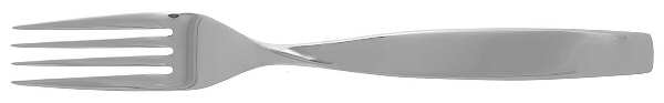 Axis (Stainless) Fork