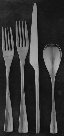 Equinox (Stainless) 5 Piece Place Setting