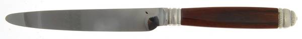 Recamier-Rio Wood (Stainless) New French Hollow Knife