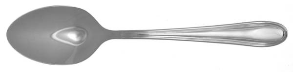 SNE6 (Stainless) Teaspoon