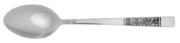 SNF5 (Stainless) Teaspoon