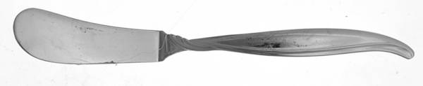 Swirl (Stainless) Flat Handle Master Butter Knife