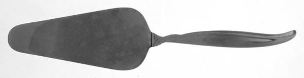 Swirl (Stainless) All Stainless Pie Server