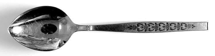 TCS3 (Stainless) Place/Oval Soup Spoon