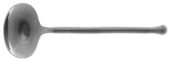 Exotique Platinum (Stainless) Sugar Spoon