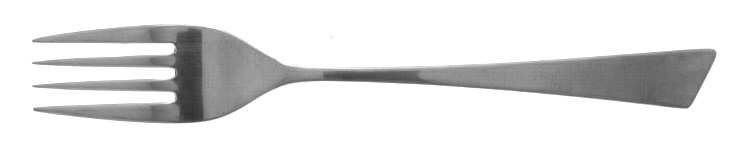 Angle (Stainless) Fork