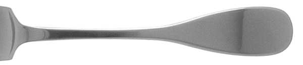 Astron (Stainless)