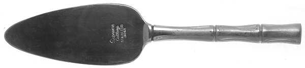Bamboo-Satin Finish (Stainless) Solid Cheese Server