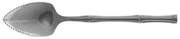 Cane (Stainless, Glossy Finish) Fruit/Orange Spoon