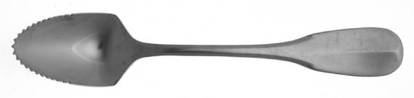 Chatsworth (Stainless) Fruit/Orange Spoon