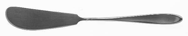 Cirque (Stainless) Flat Handle Butter Spreader