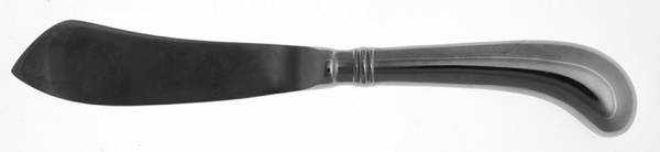 Columbia (Stainless) Hollow Handle Master Butter Knife