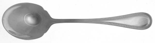 Colchester (Stainless) Sugar Spoon