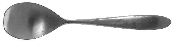 Copen (Stainless) Sugar Spoon