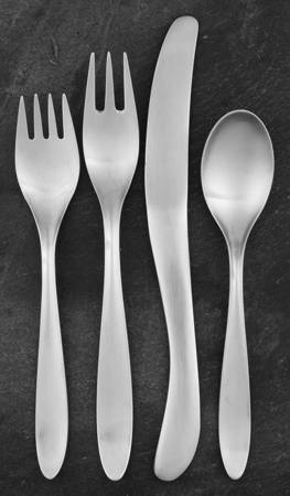 Design 1 (Stainless) 4 Piece Place Setting