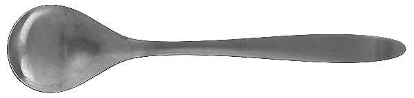 Design 1 (Stainless) Sugar Spoon