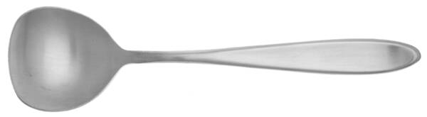 Exeter (Stainless) Sugar Shovel