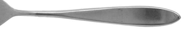 Exeter (Stainless)