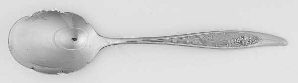 Flourish (Stainless) Sugar Spoon