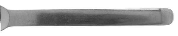 Iona (Stainless) Fork