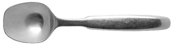 Kronos (Stainless) Sugar Spoon