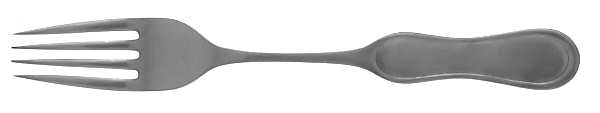 Lariat (Stainless) Fork