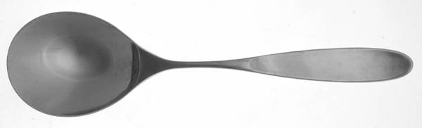 Magnum (Stainless, Japan-Korea-Vietnam) Solid Salad Serving Spoon