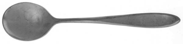 Mark VII (Stainless) Sugar Spoon