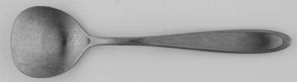 Mark VII (Stainless) Sugar Shovel