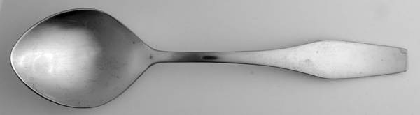 Newburyport (Stainless) Tablespoon (Serving Spoon)