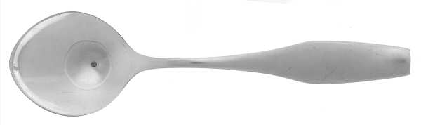 Newburyport (Stainless) Sugar Spoon