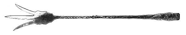 Orchids (Sterling, 1887) Large Lettuce Serving Fork