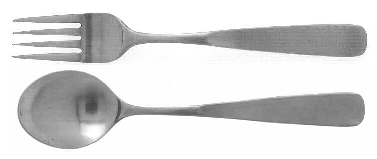 Parc Lane (Stainless) Fork by Towle Silver