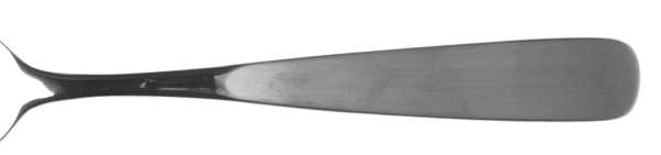 Parc Lane (Stainless)