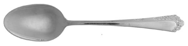 Royal Rose (Stainless) Place/Oval Soup Spoon by Towle Silver