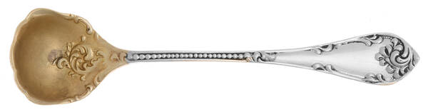Rustic (Sterling, 1895) Master Salt Spoon