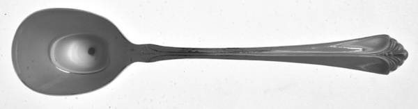 Santa Barbara-Rose Gold (Electroplate) Sugar Spoon