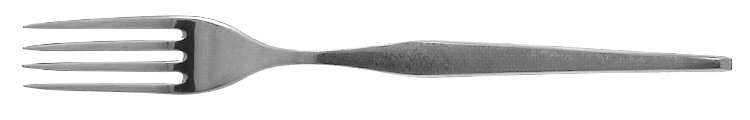 Shape (Stainless) Fork