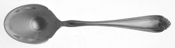 Somerset (Stainless) Sugar Spoon