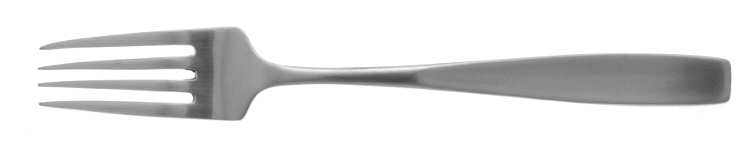 Starling (Stainless) Fork