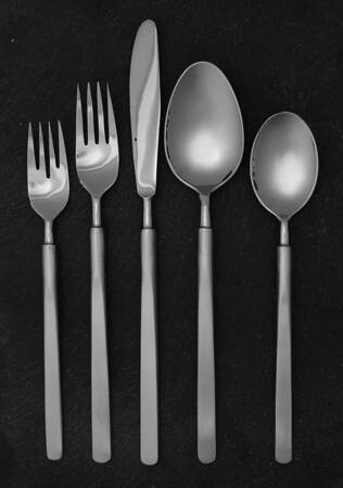 Stereo (Stainless, Supreme) 5 Piece Place Setting
