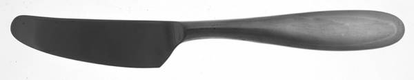 Taurus (Stainless) New French Solid Knife