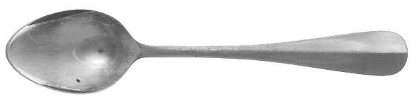Trent (Stainless) Teaspoon
