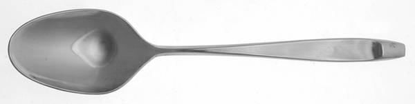 TWS10 (STAINLESS) Tablespoon (Serving Spoon)