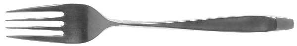 TWS10 (STAINLESS) Fork