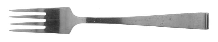 TWS108 (STAINLESS) Fork