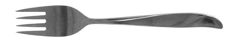 TWS110 (STAINLESS) Fork