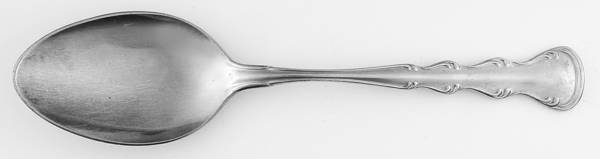 TWS111 (STAINLESS) Tablespoon (Serving Spoon)